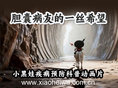 第4集《胆囊病友的一丝希望》原创胆囊疾病预防科普动画片